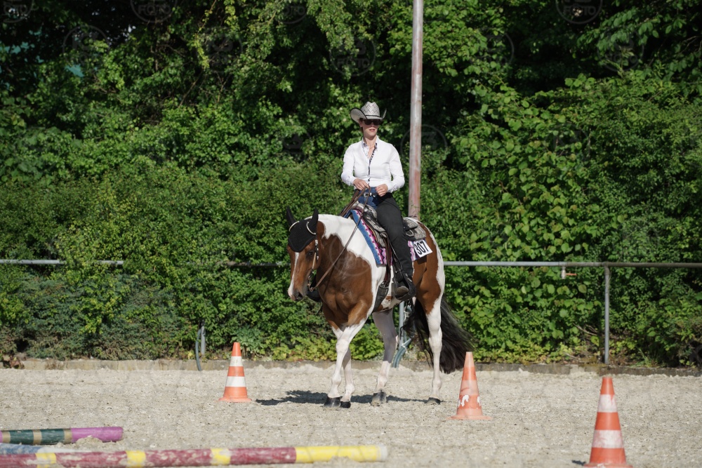 s_APF06918.jpg